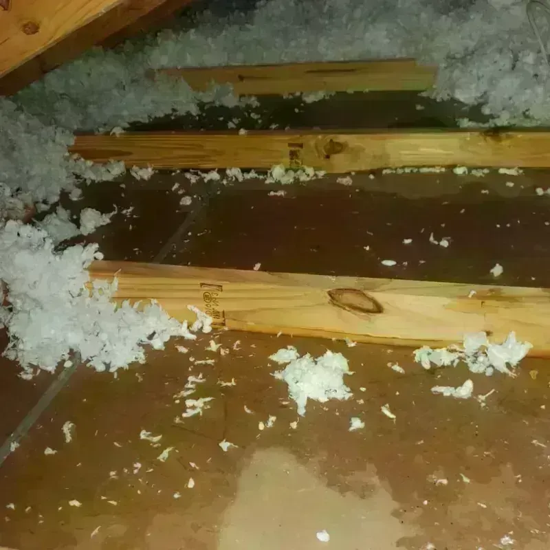 Attic Water Damage in Abernathy, TX