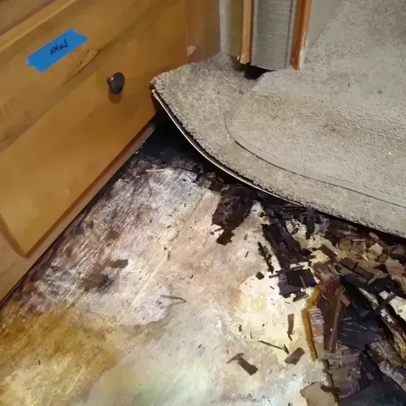 Wood Floor Water Damage in Abernathy, TX